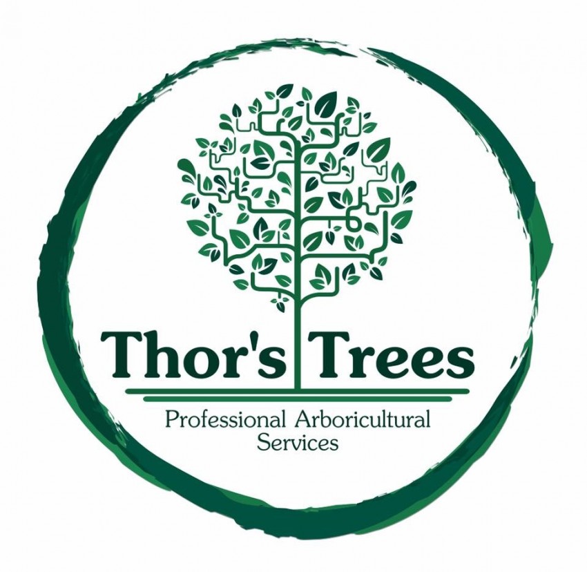 Thors Trees Logo