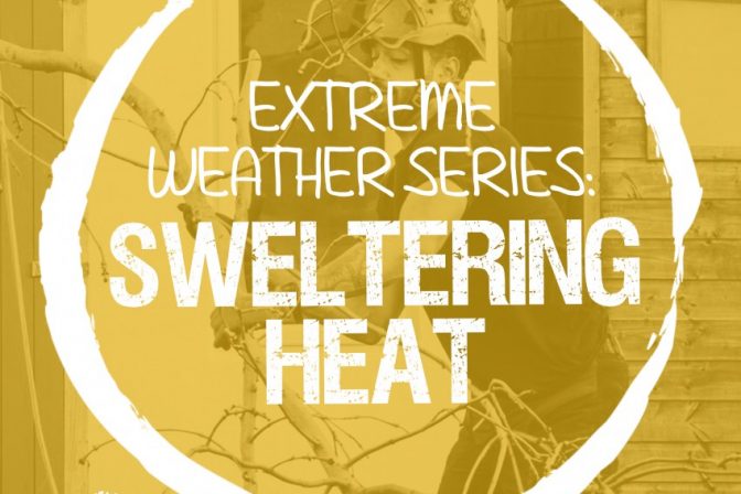 Tips and Learning: Sweltering Heat