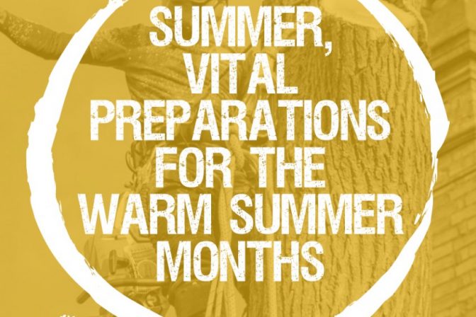 Top 5 tips for preparing your trees for the warm summer months