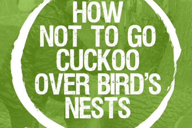 Care: How not to go cuckoo over bird’s nests