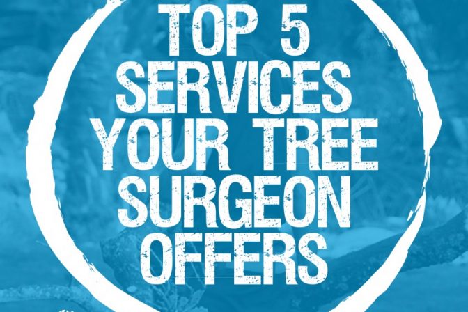 Top 5 services your arborist offers, and why they’re so important to your garden