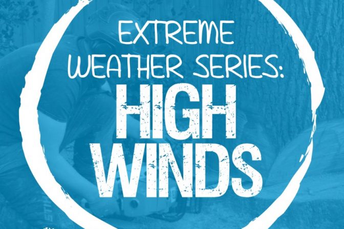 Extreme Weather Series: High Winds