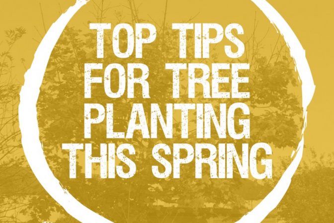 Top tips for Springtime