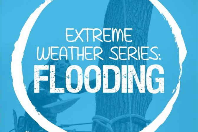 Extreme Weather Series: Flooding