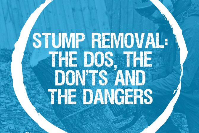 Stump removal: the do’s, the don’t’s and the dangers