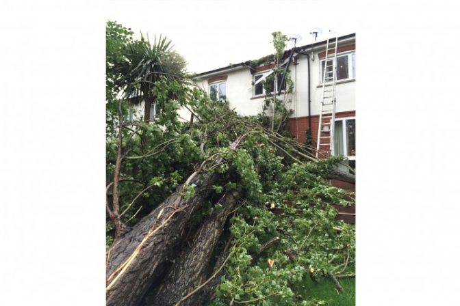 A Tree has fallen – Can I claim on my home insurance?