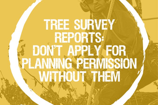 Tree survey reports: Don’t apply for planning permission without them