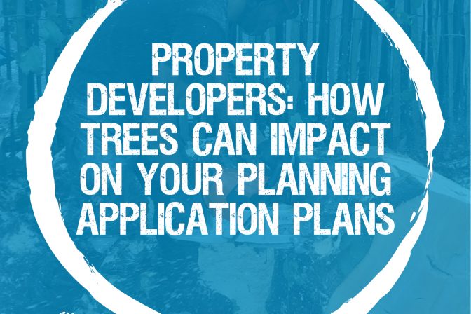 Property developers – How trees impact planning application plans