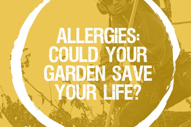 Allergies – could your garden save your life?
