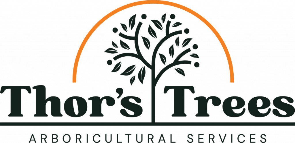 Main-Logo