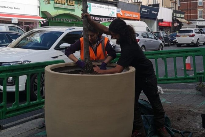 🌳 Planting Roots: How Thor’s Trees Thrives in Enfield’s Community